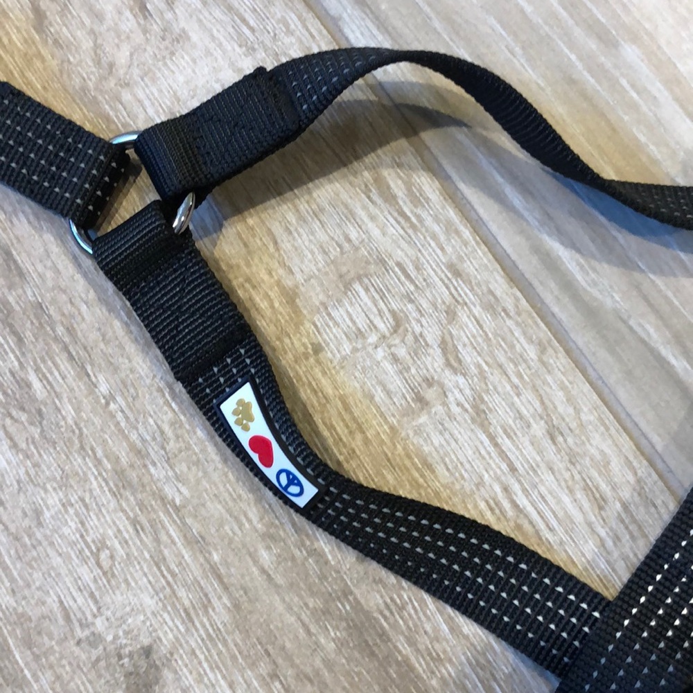Pawtitas Stepin Harness Large Black